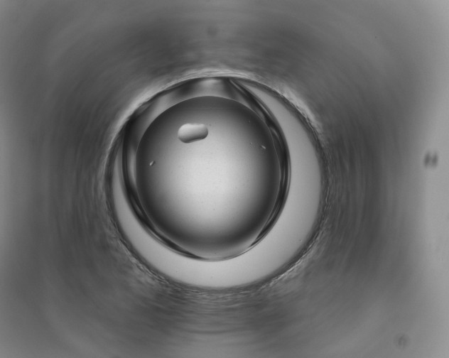 X0000094461173200711151443