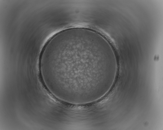 X0000094461174200711151443