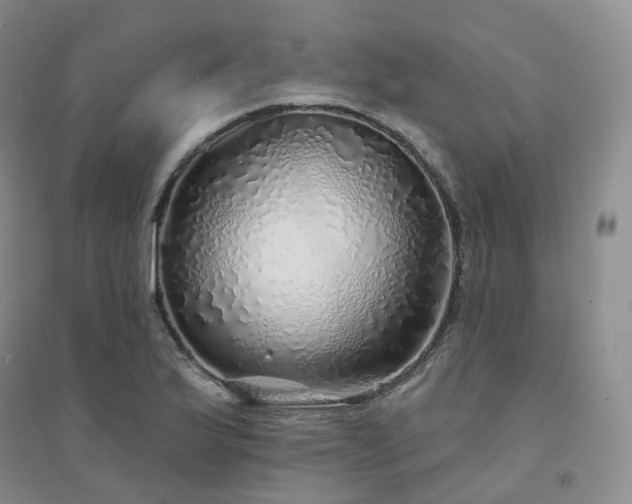 X0000094461175200711151443