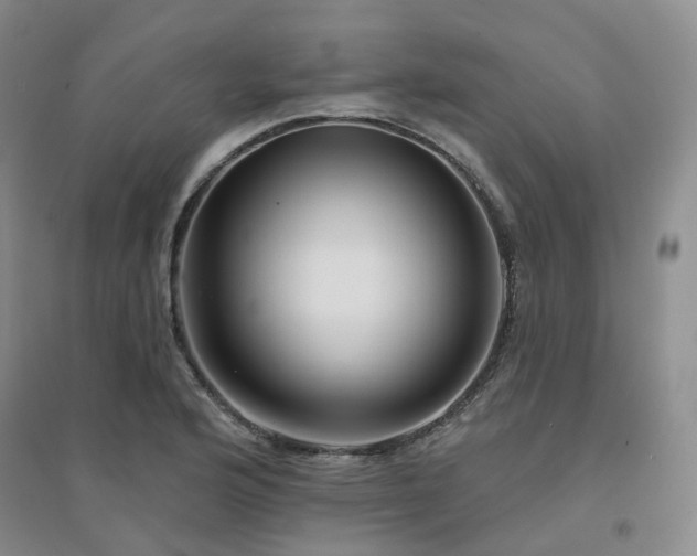 X0000094461176200711151443