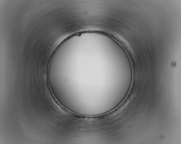 X0000094461177200711151443