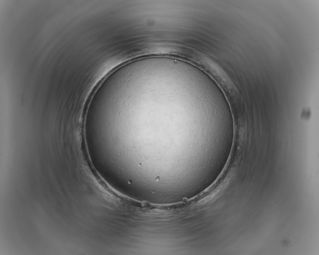 X0000094461178200711151443