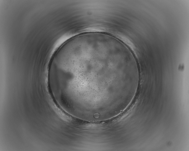 X0000094461179200711151443