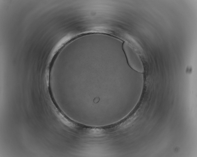 X0000094461180200711151443