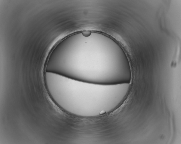 X0000094461181200711151443