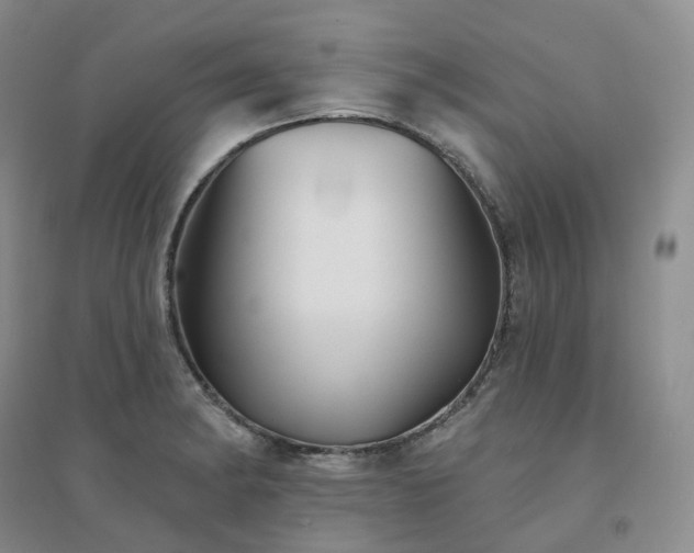 X0000094461182200711151443
