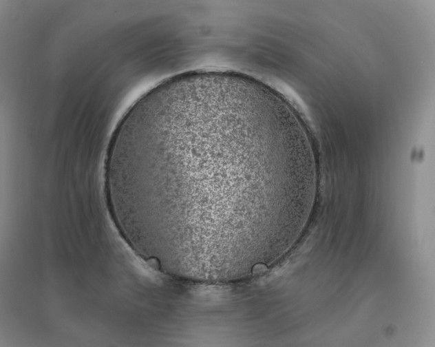 X0000094461183200711151443