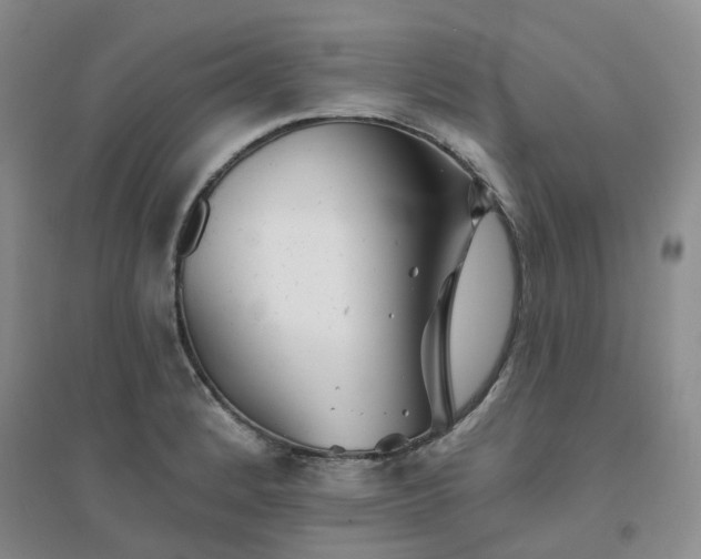 X0000094461184200711151443