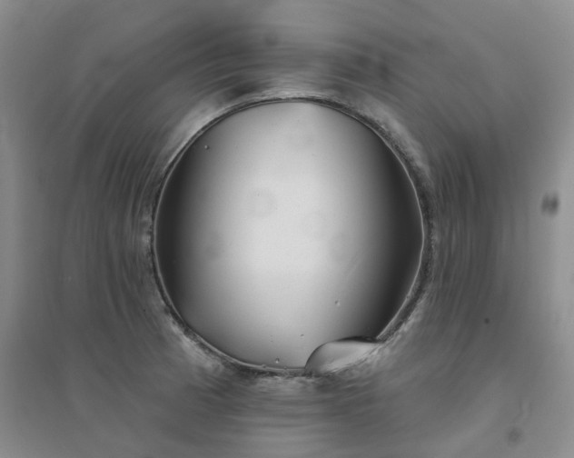 X0000094461185200711151443