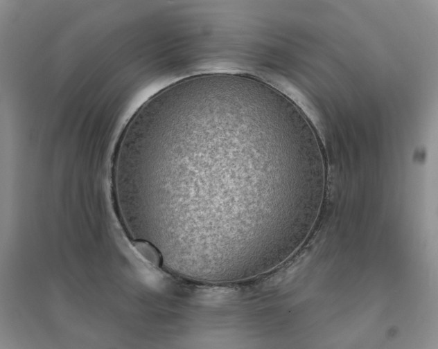 X0000094461187200711151443