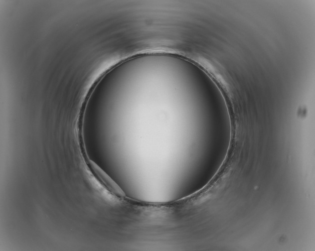X0000094461189200711151443