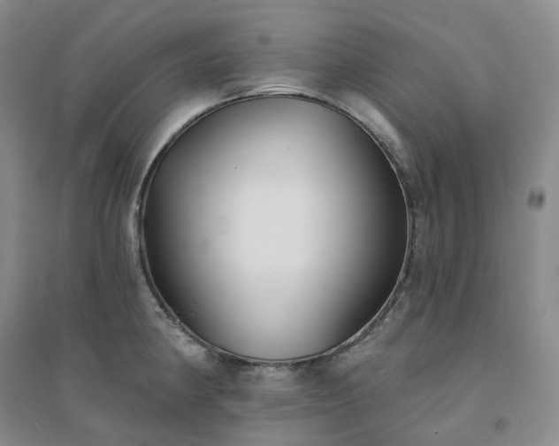 X0000094461190200711151443