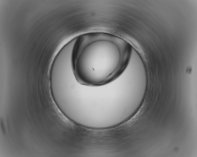 X0000094461192200711151443