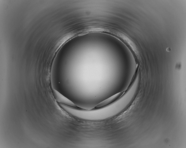 X0000094461193200711151443