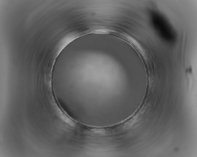 X0000094461194200711151443