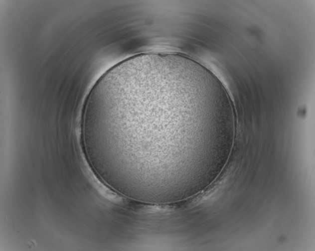 X0000094461195200711151443