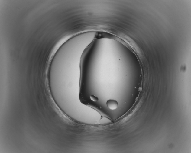 X0000094461196200711151443
