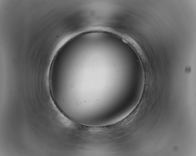X0000094461199200711151443