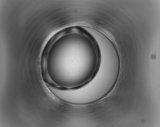 X0000094461200200711151443