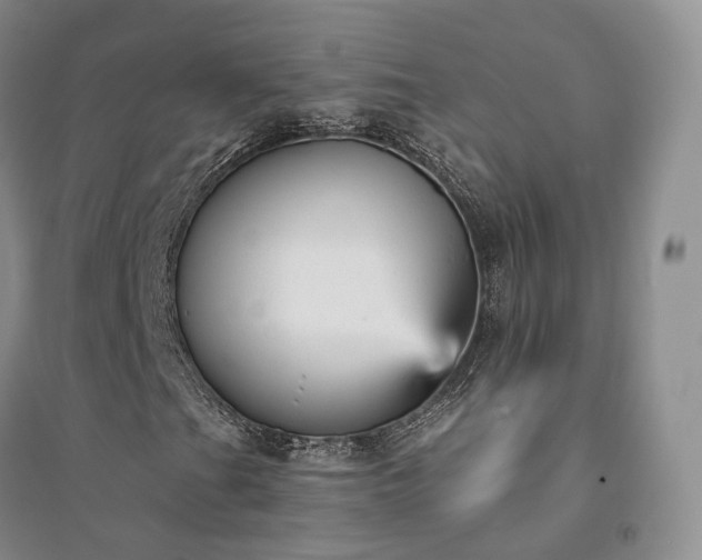 X0000094461201200711151442