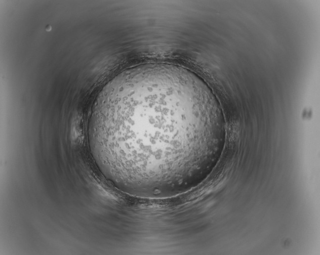 X0000094461202200711151442