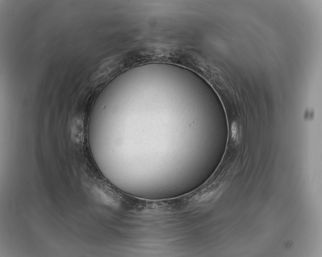 X0000094461203200711151442