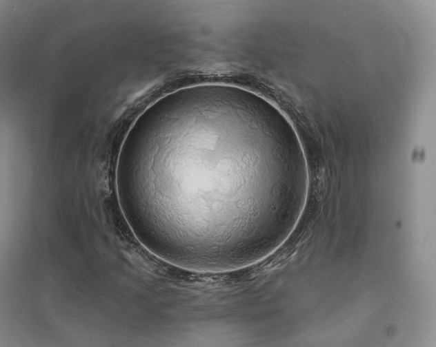 X0000094461205200711151442