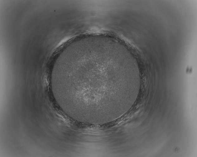 X0000094461206200711151442