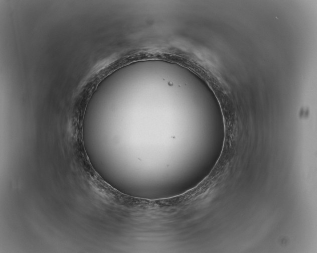 X0000094461207200711151442