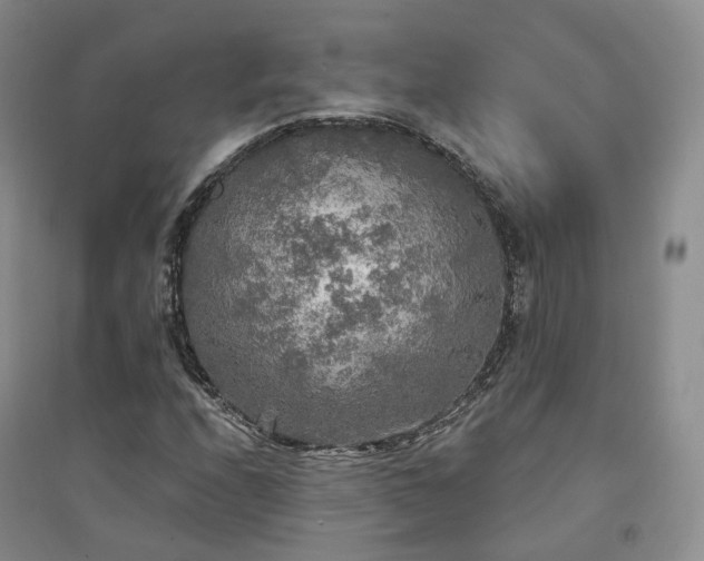 X0000094461208200711151442