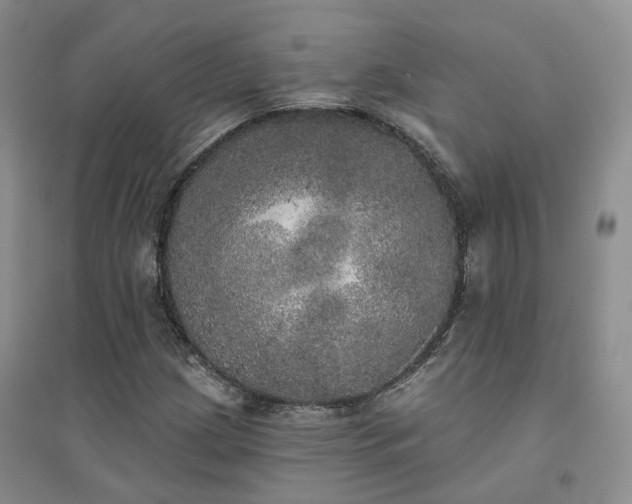 X0000094461209200711151442