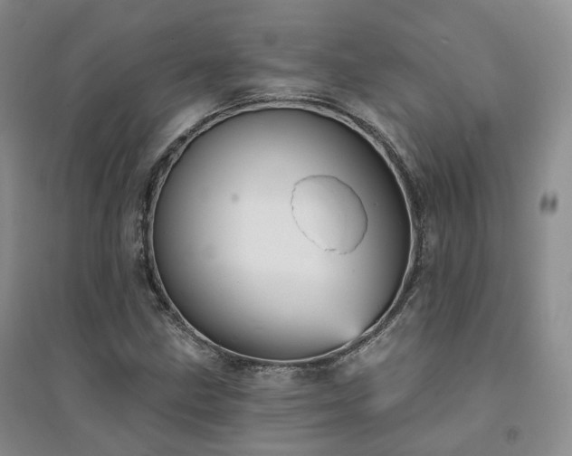 X0000094461211200711151442