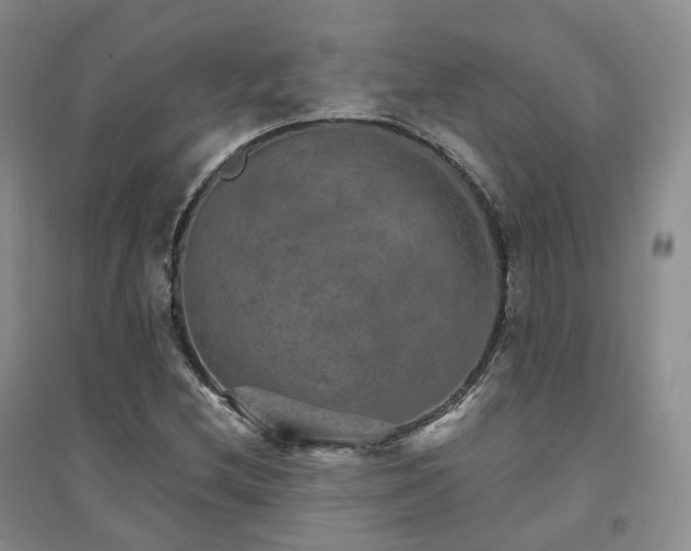 X0000094461212200711151442