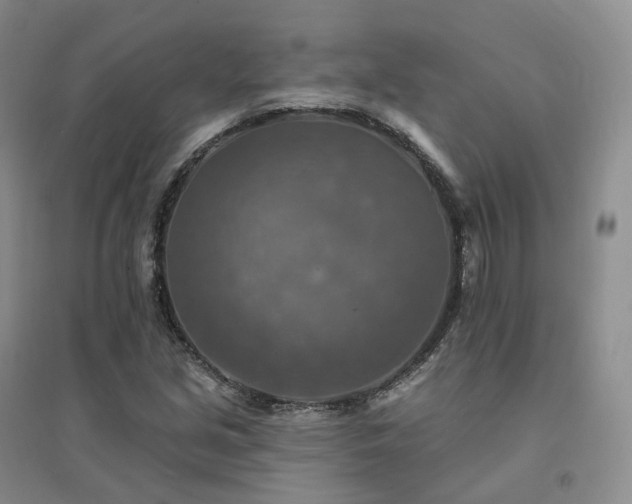 X0000094461213200711151442