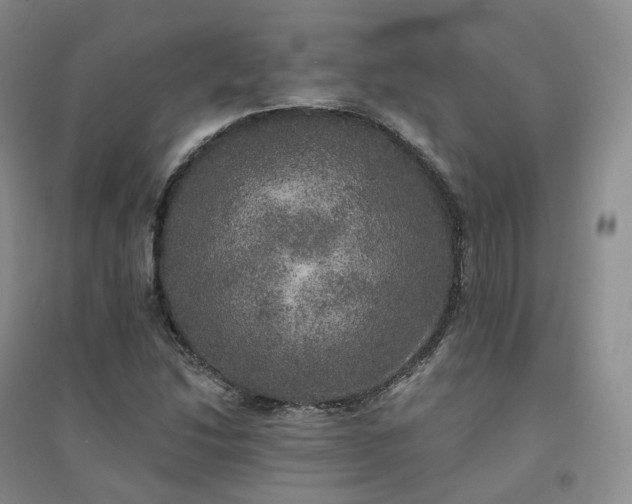 X0000094461214200711151442