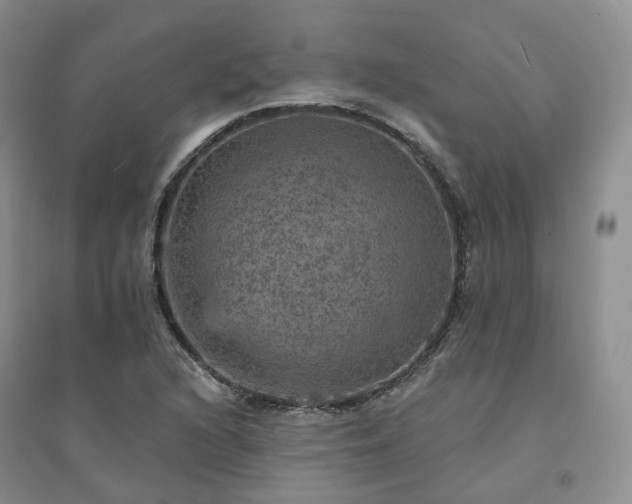 X0000094461216200711151442