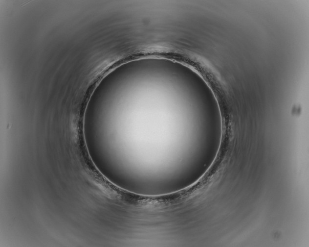 X0000094461217200711151442