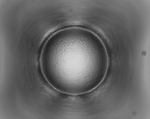 X0000094461218200711151442