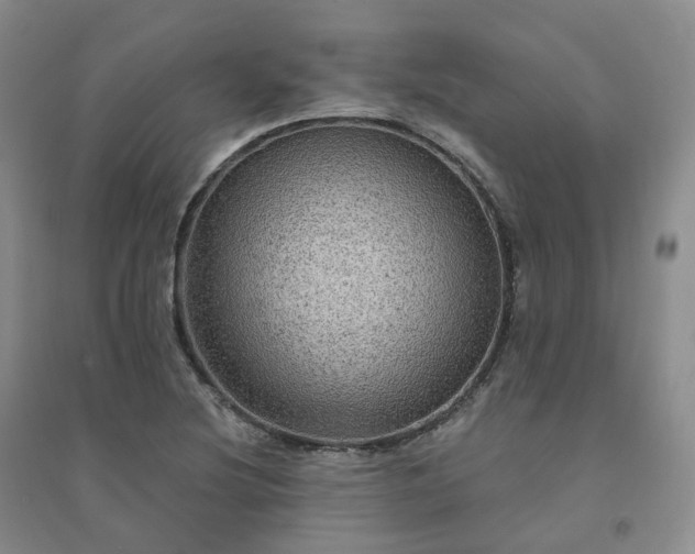 X0000094461220200711151442