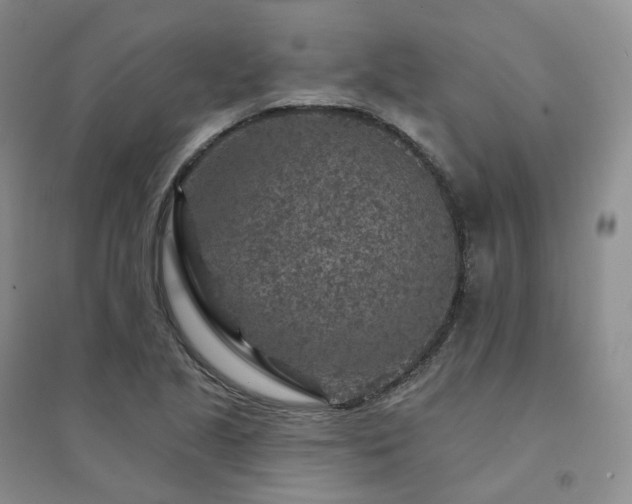 X0000094461221200711151442