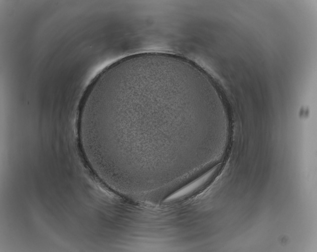 X0000094461222200711151442