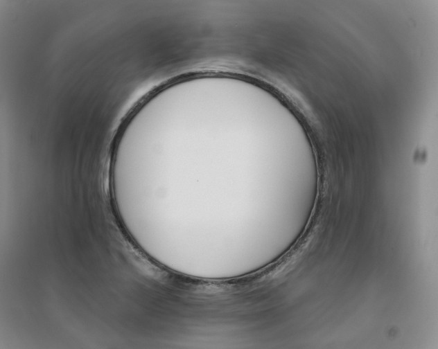X0000094461224200711151442