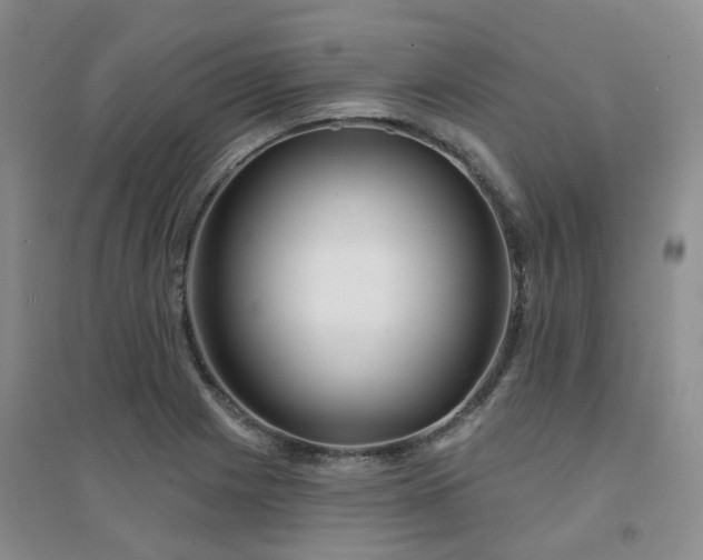 X0000094461225200711151442