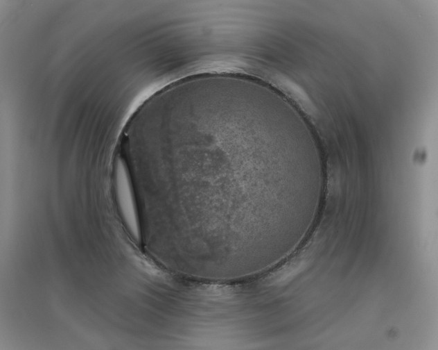 X0000094461226200711151442