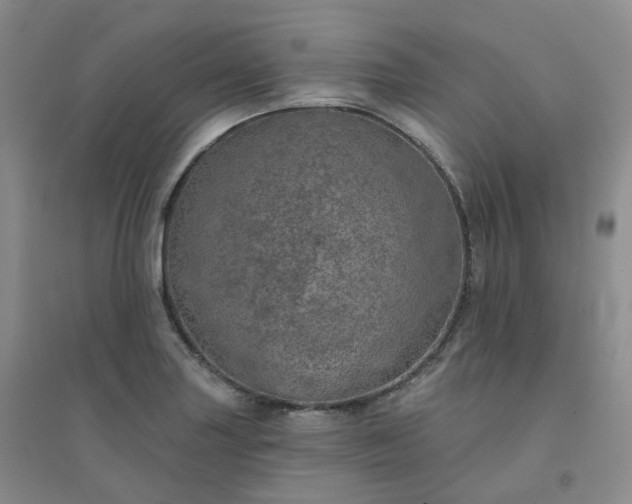 X0000094461227200711151442