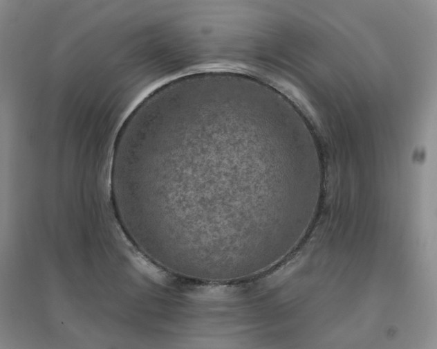 X0000094461228200711151442