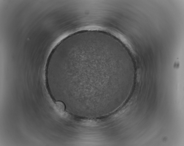 X0000094461229200711151442