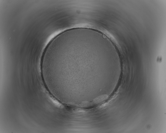 X0000094461230200711151442