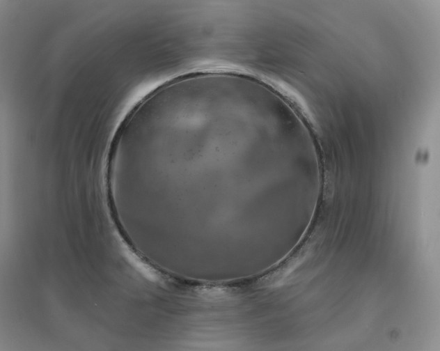 X0000094461231200711151442