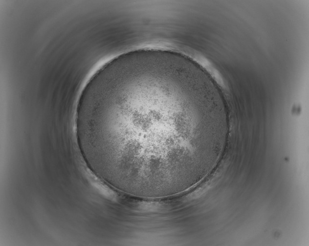 X0000094461232200711151442